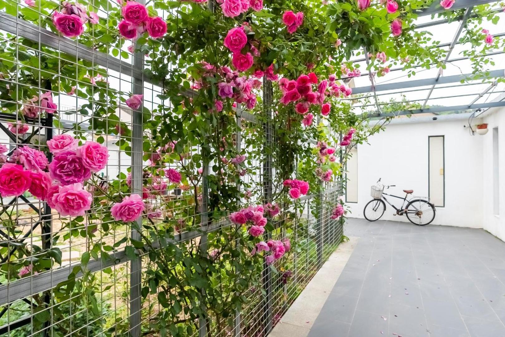 茶墅民宿 Suzhou  Exteriör bild